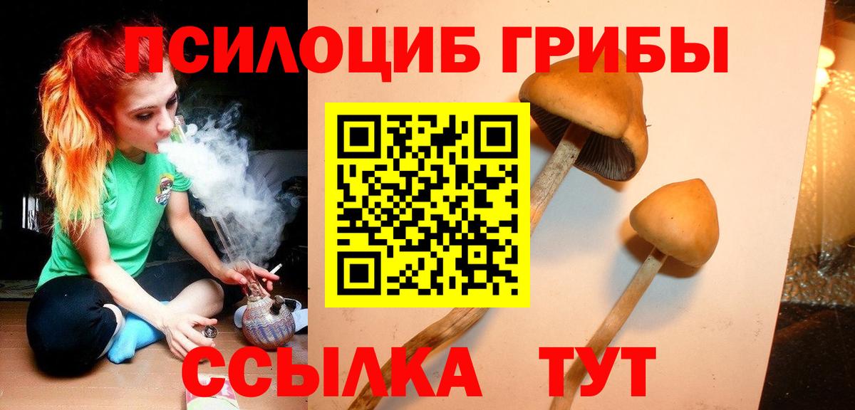 Галлюциногенные грибы прущие грибы  Вход с VPN  Лениногорск  Псилоцибиновые грибы GOLDEN TEACHER 